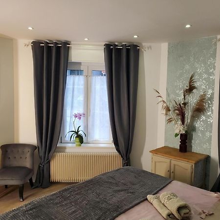Mirka & Franck Apartment Chic 4 Stars Parking Free Colmar Bagian luar foto