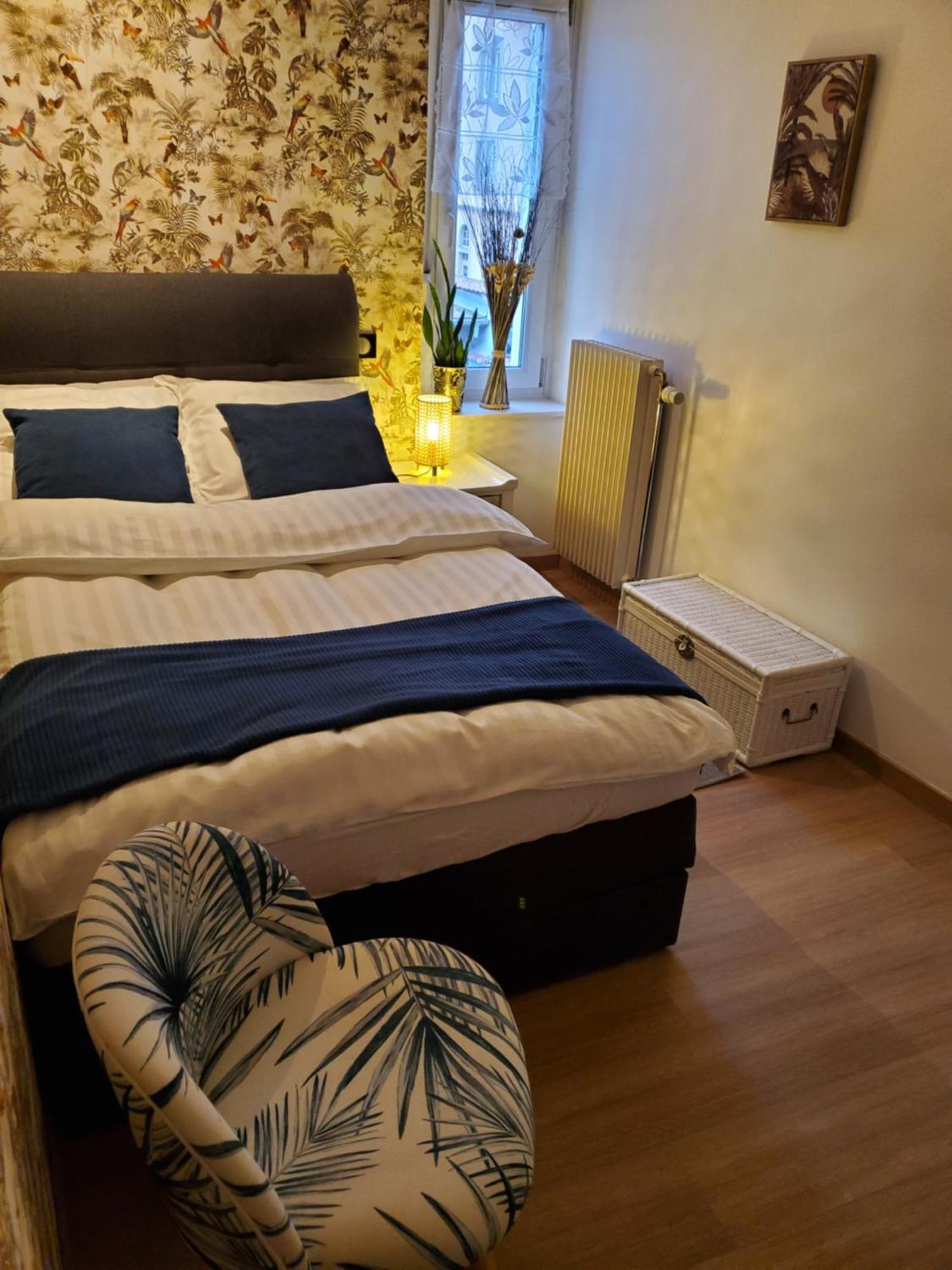 Mirka & Franck Apartment Chic 4 Stars Parking Free Colmar Bagian luar foto
