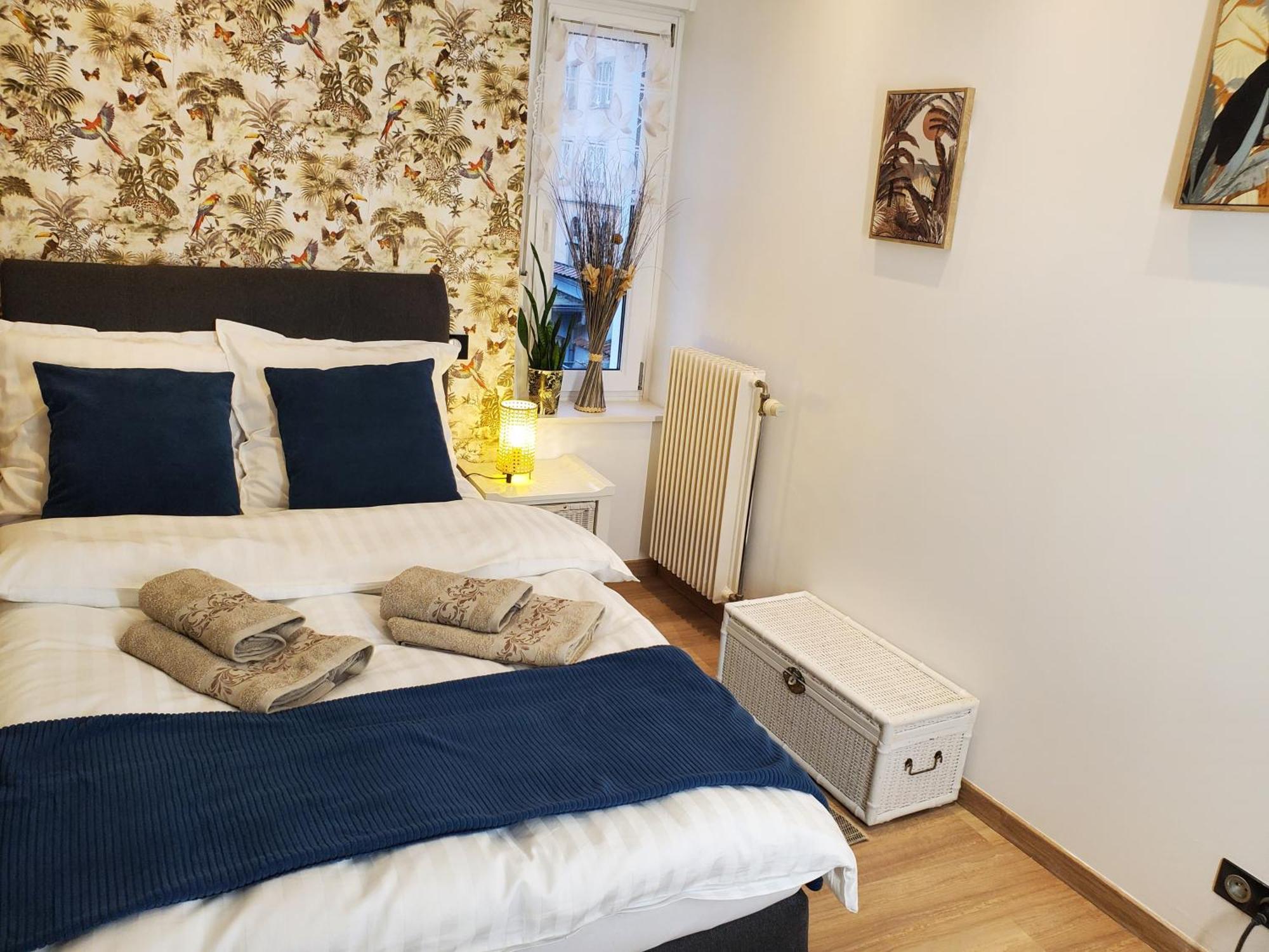 Mirka & Franck Apartment Chic 4 Stars Parking Free Colmar Bagian luar foto