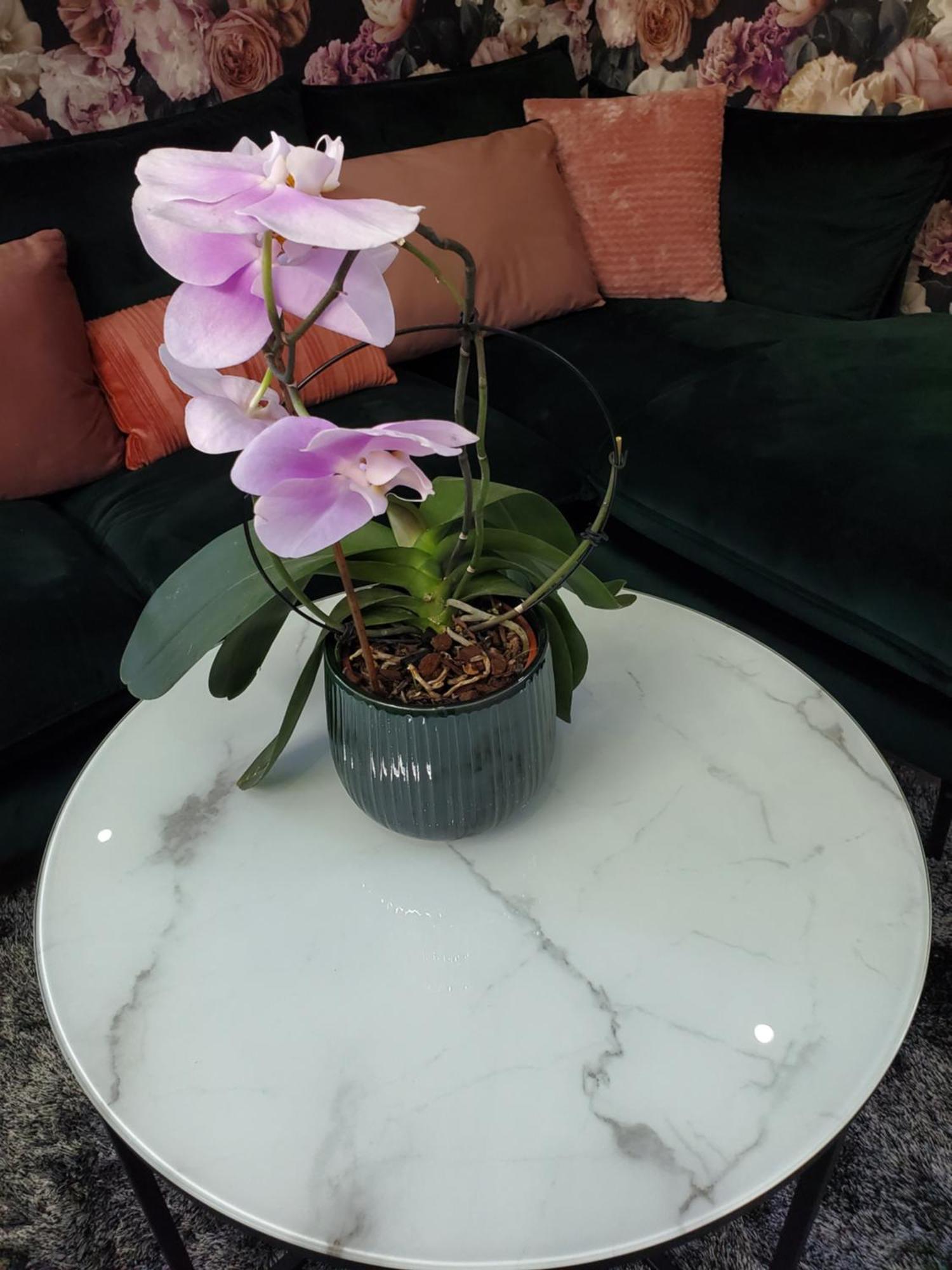 Mirka & Franck Apartment Chic 4 Stars Parking Free Colmar Bagian luar foto