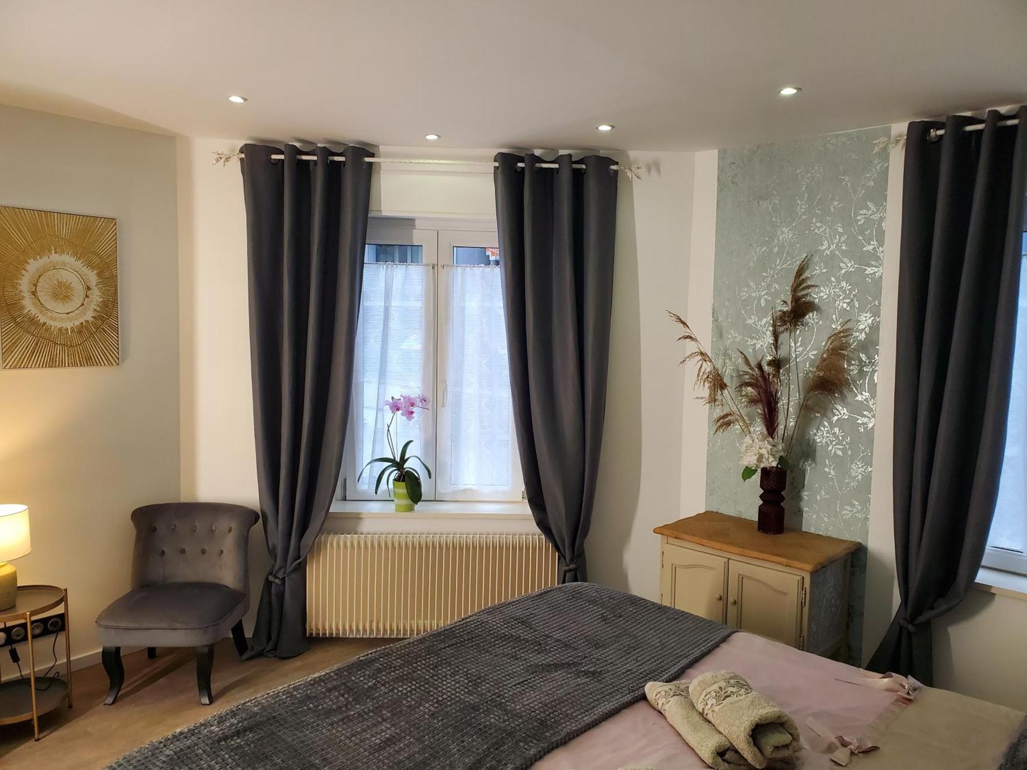 Mirka & Franck Apartment Chic 4 Stars Parking Free Colmar Bagian luar foto
